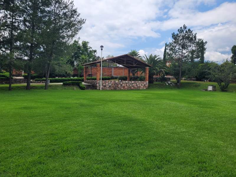 Jardín Finca LA PALMA - 1