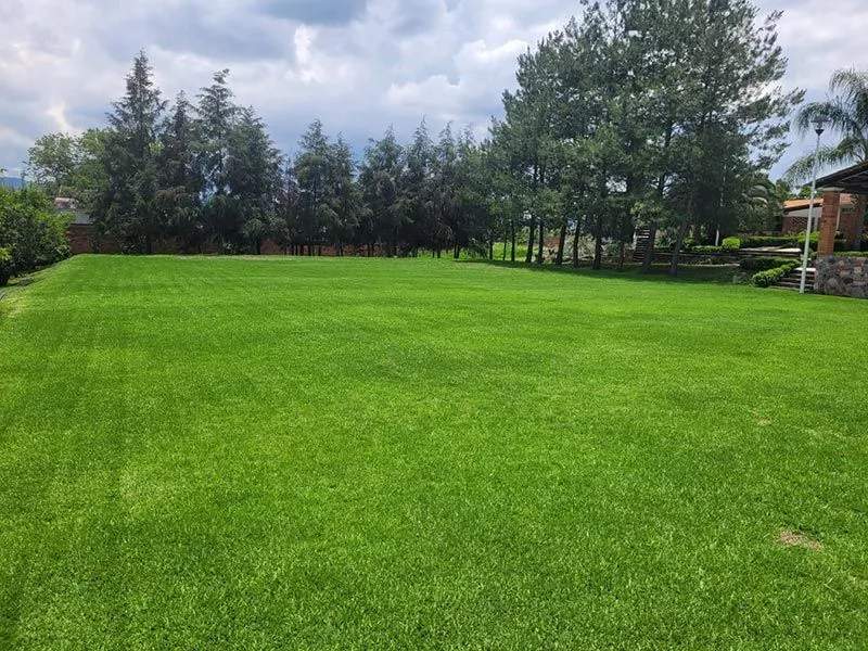 Jardín Finca LA PALMA – foto 5