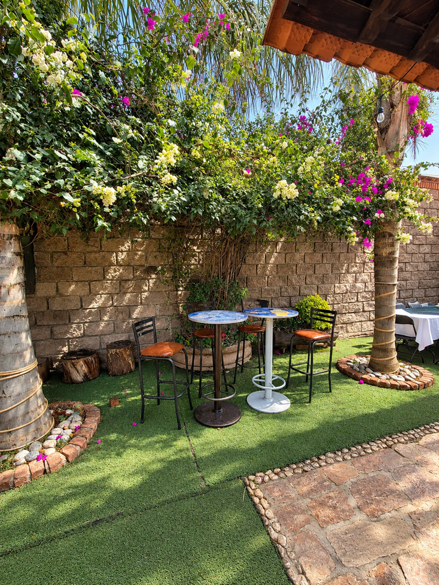 Salón Jardín San Pascual – foto 3
